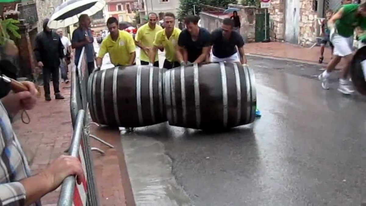 serrone 2014 (5)